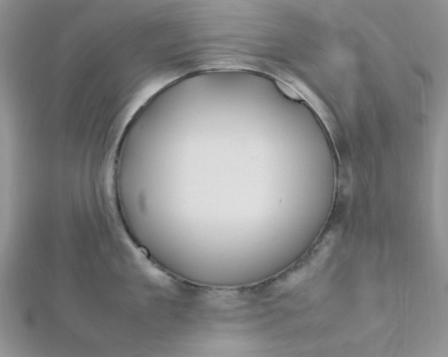 X0000112370909200909031929