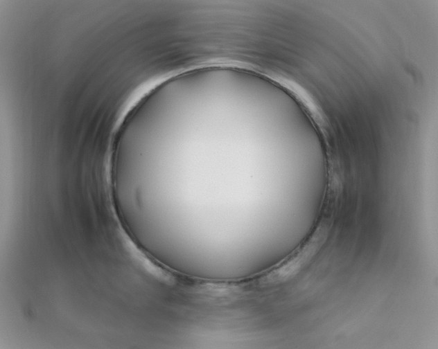 X0000112370910200909031929