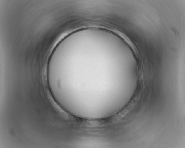 X0000112370911200909031929