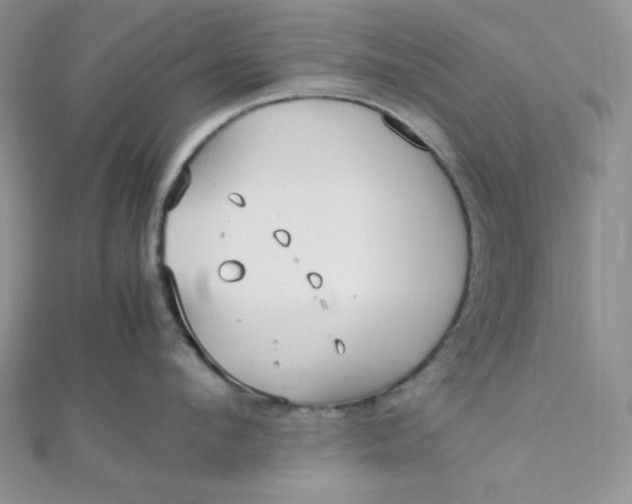 X0000112370912200909031929