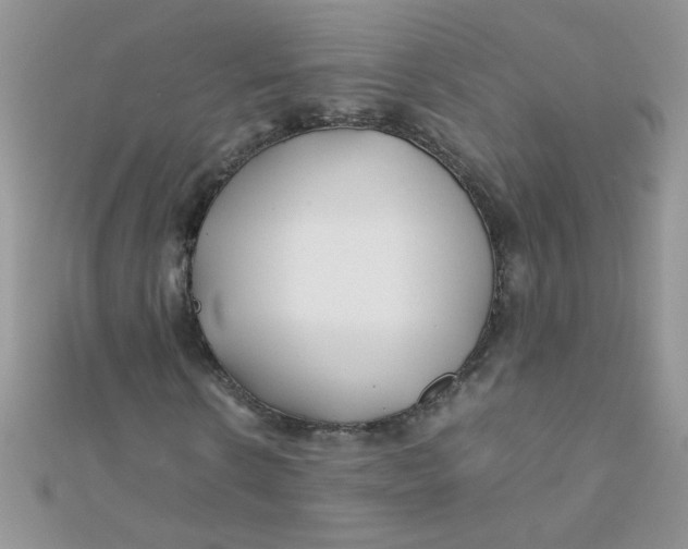 X0000112370914200909031928