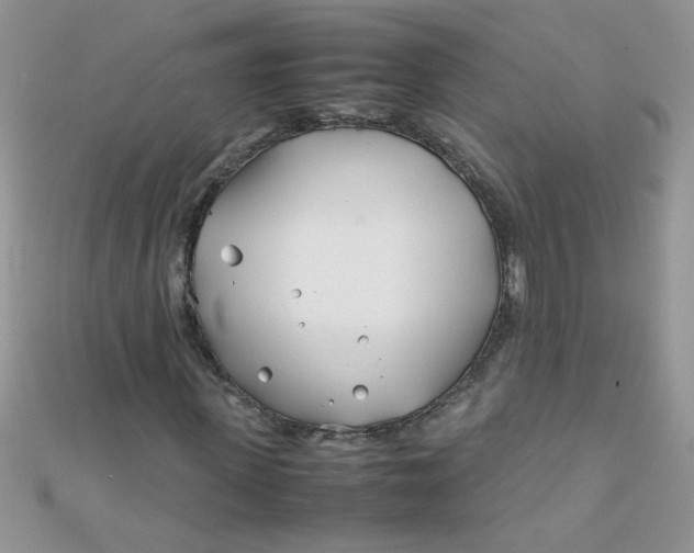 X0000112370915200909031928