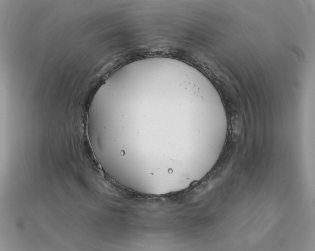 X0000112370916200909031928