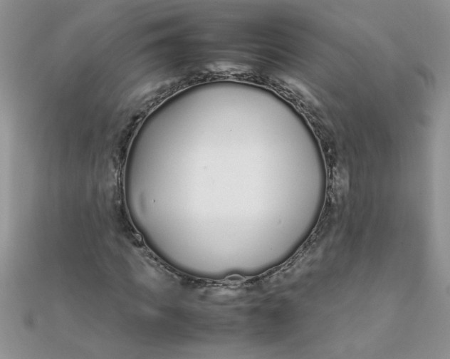 X0000112370917200909031928