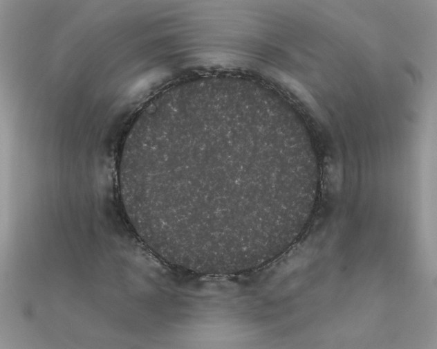 X0000112370918200909031928