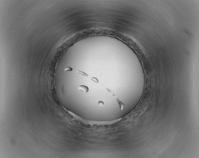 X0000112370919200909031928