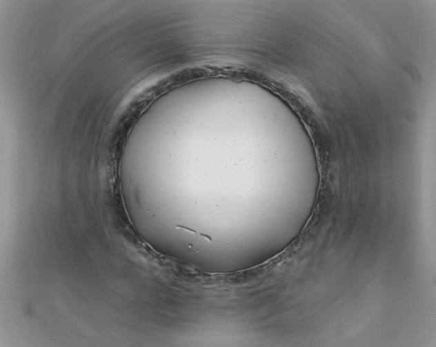 X0000112370920200909031928