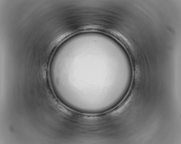 X0000112370921200909031928