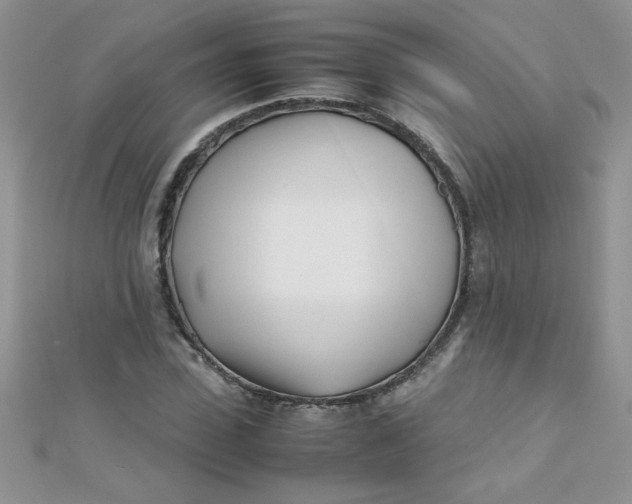 X0000112370923200909031928