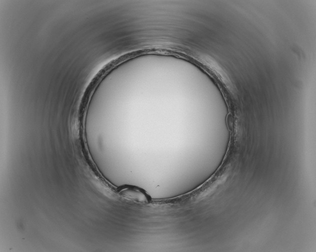 X0000112370924200909031928