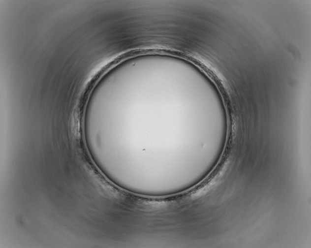 X0000112370925200909031928