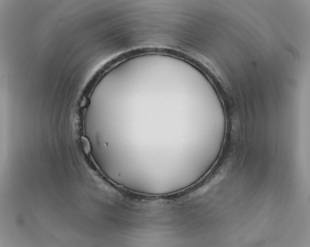 X0000112370926200909031928