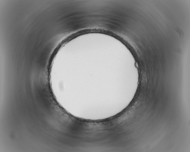 X0000112370927200909031928