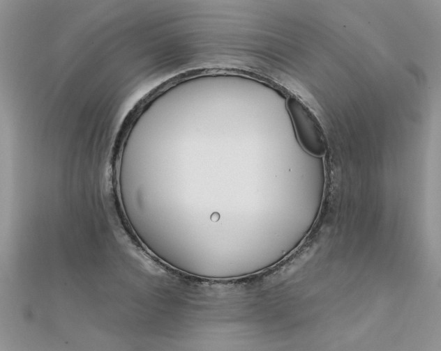 X0000112370928200909031928