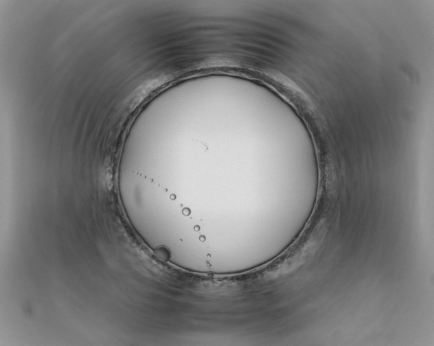 X0000112370929200909031928