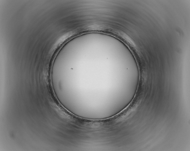 X0000112370930200909031928