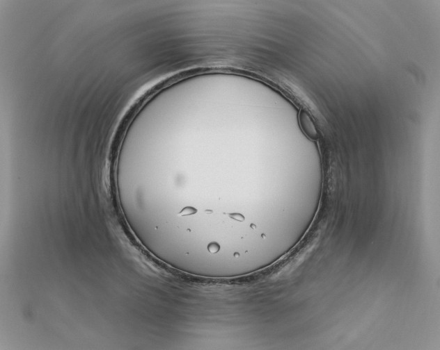 X0000112370932200909031928