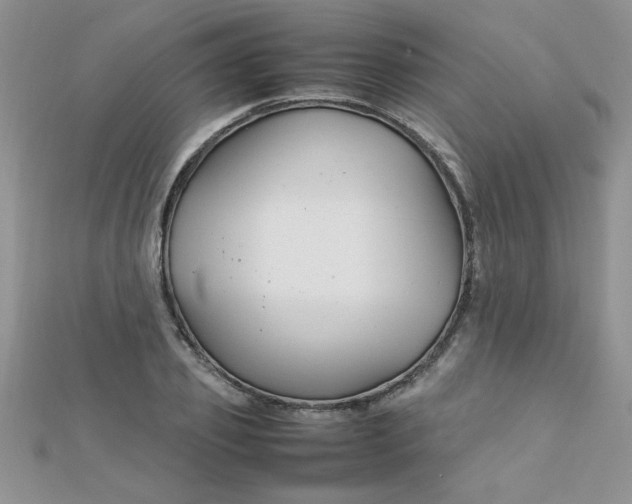 X0000112370933200909031928