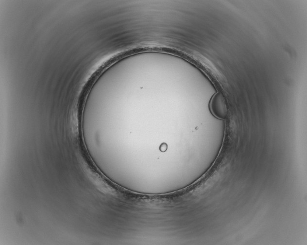 X0000112370934200909031928