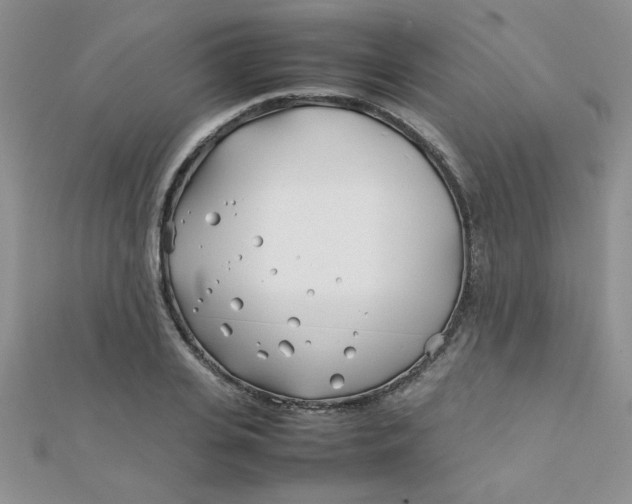 X0000112370935200909031928