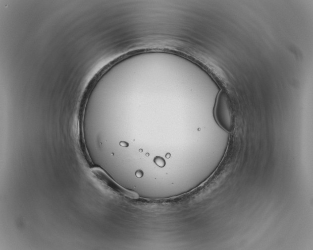 X0000112370936200909031928