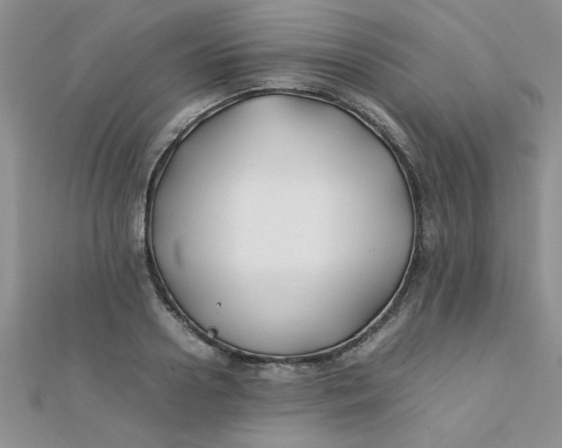 X0000112370938200909031928