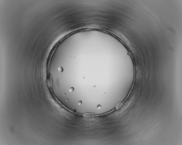 X0000112370939200909031928