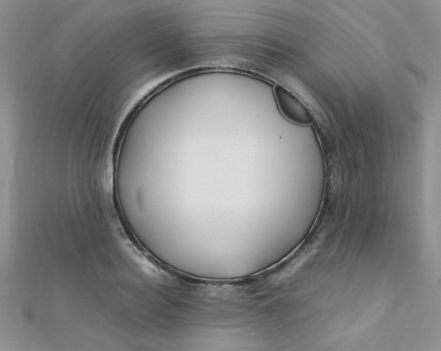 X0000112370940200909031928