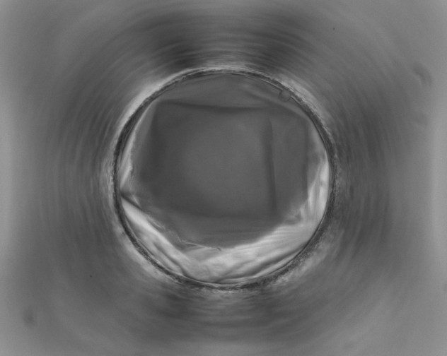 X0000112370941200909031928