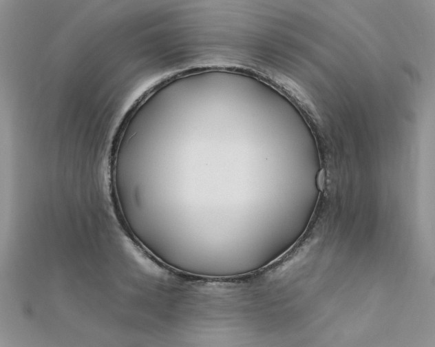 X0000112370942200909031928