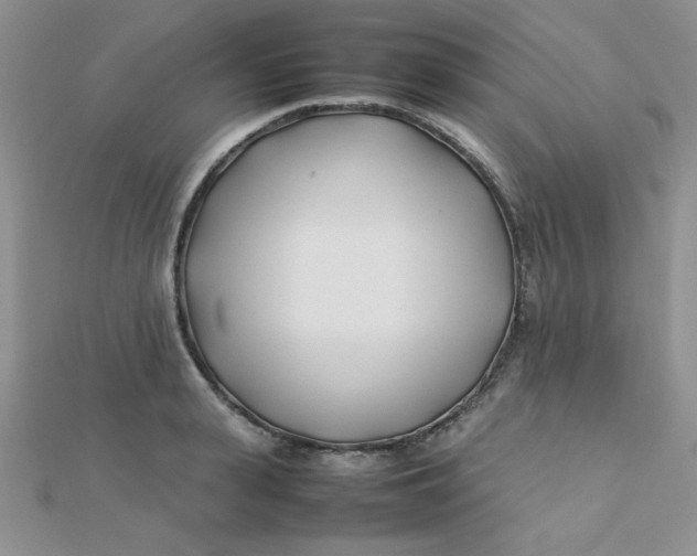 X0000112370943200909031928