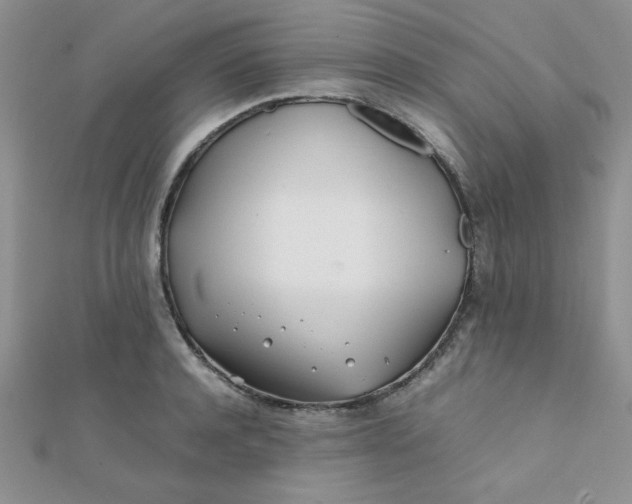 X0000112370944200909031928