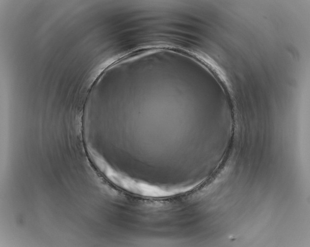 X0000112370945200909031928