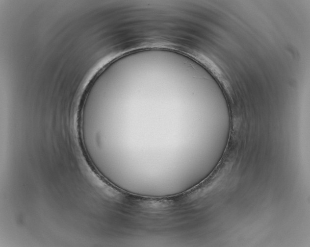 X0000112370947200909031928