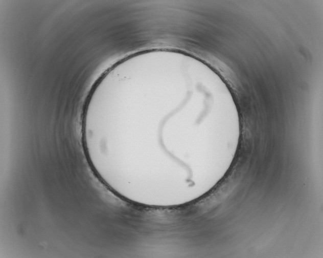 X0000112370950200909031928