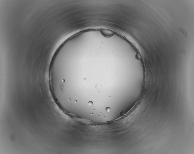 X0000112370951200909031928