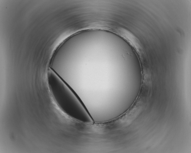 X0000112370952200909031928