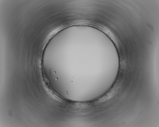 X0000112370954200909031928