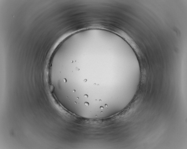 X0000112370955200909031928