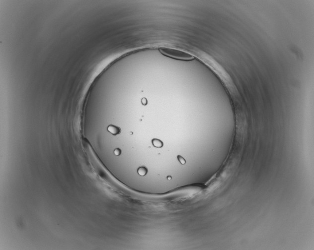 X0000112370956200909031929