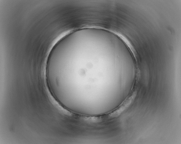 X0000112370957200909031929