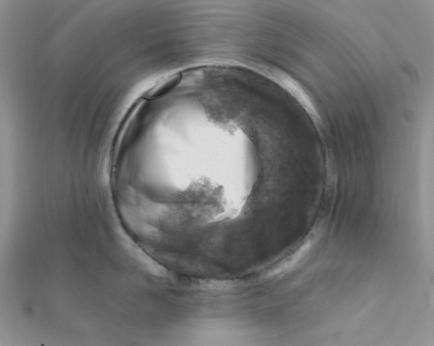 X0000112370958200909031929