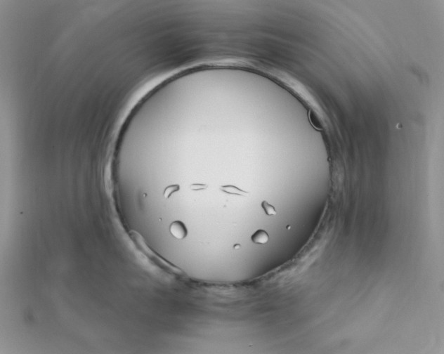 X0000112370959200909031929