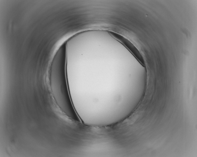 X0000112370960200909031929