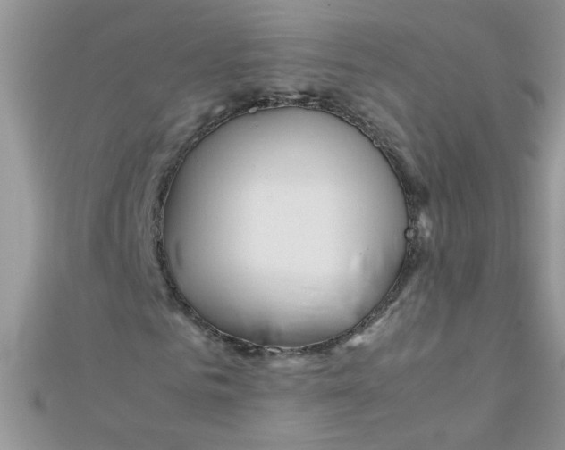 X0000112370961200909031928