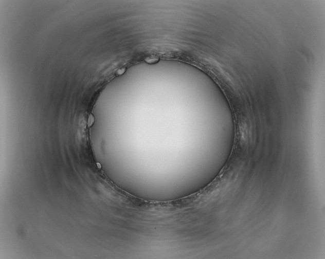 X0000112370964200909031928