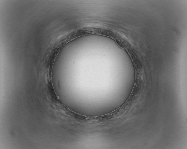 X0000112370965200909031928