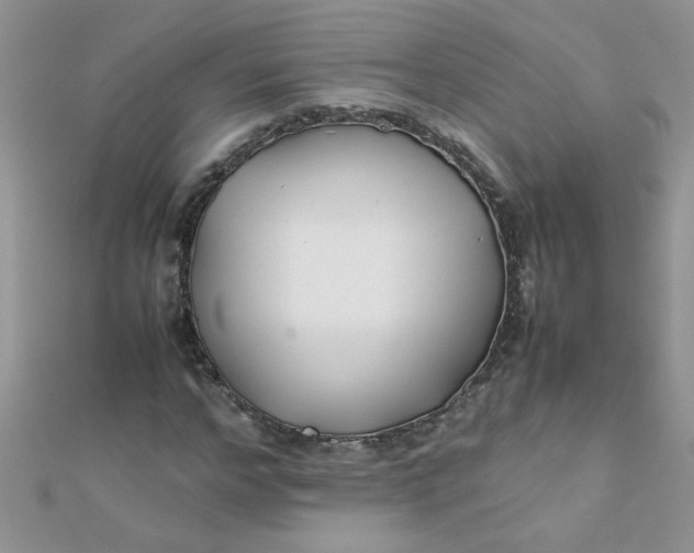 X0000112370968200909031928