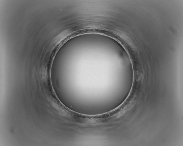 X0000112370969200909031928