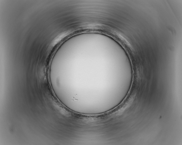 X0000112370970200909031928